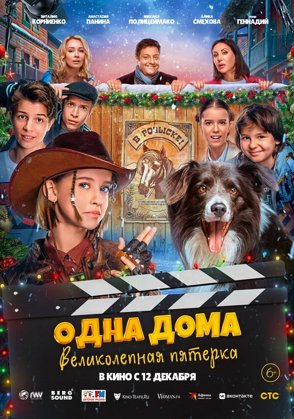 Постер Одна дома: Великолепная пятерка